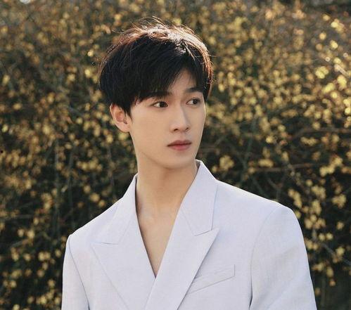 李昀锐孟子义最新爆料,揭秘幕后故事与情感纠葛